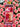 VSC Rose Face & Body Oil Super Whitening 7 Days 1000 Ml 35.19 Oz