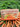 LA Tchadienne  Carrot Soap 160 Grm
