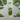Anaconda Mentholated Shower Gel